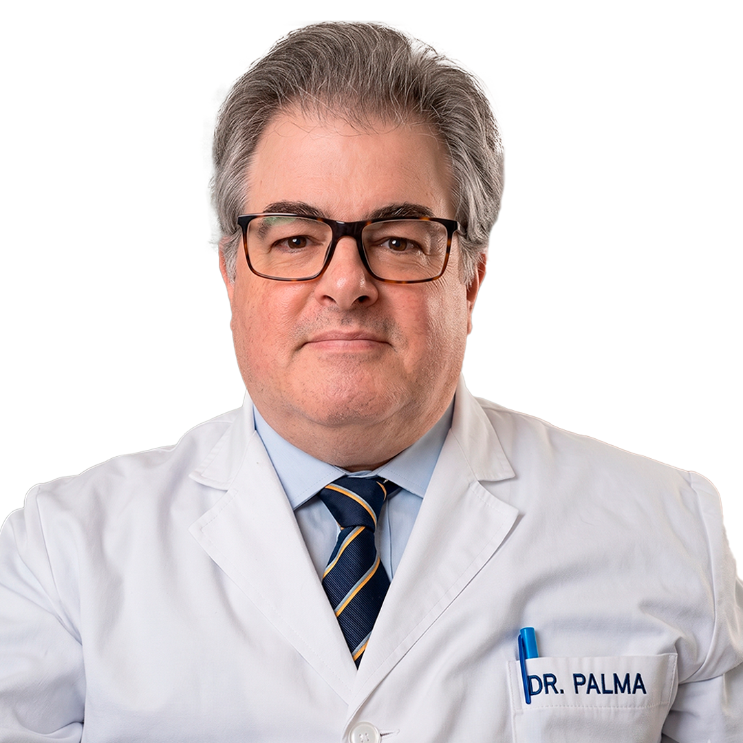 Dr. Pablo Alejandro Palma